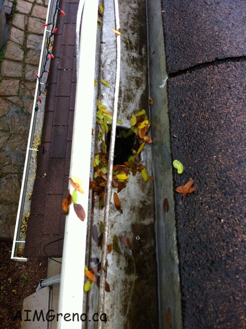 Gutter Cleaning Bolton - AIMG Inc