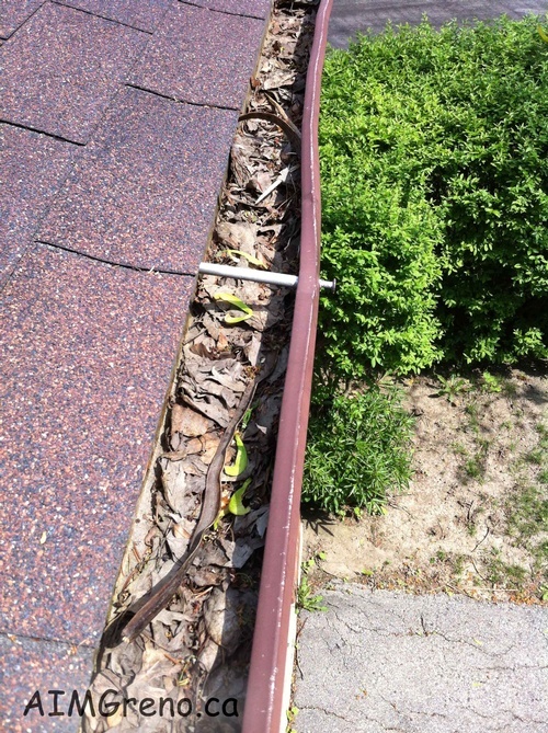 Eavestrough Cleaning by Caulking Contractors Thornhill