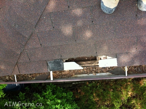 Eavestrough Cleaning by Caulking Contractors Maple