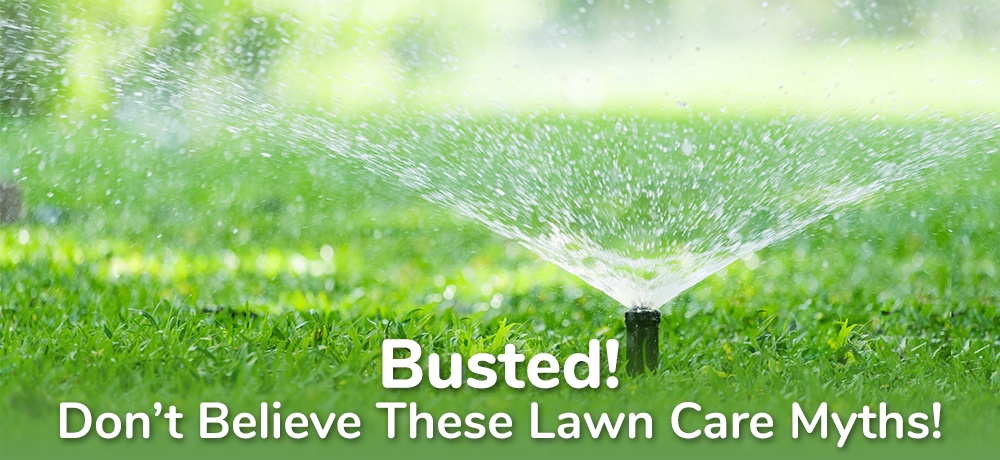 Busted!-Don’t-Believe-These-Lawn-Care-Myths- Klink & Son.jpg