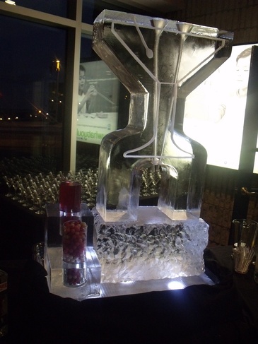 Ice Bars Martini Luges Cambridge by Festive Ice Sculptures 