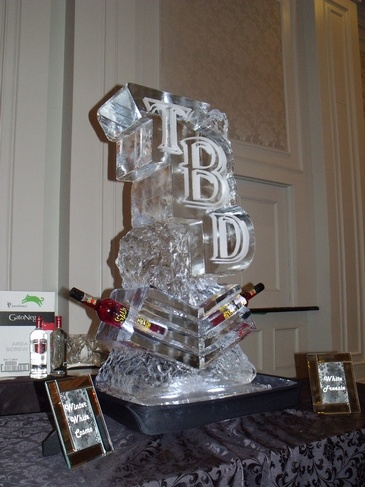 Martini Glass Ice Luge in Oakville by Festive Ice Sculptures 