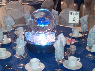 Ice sculpture globe with Blue Flower frozen inside