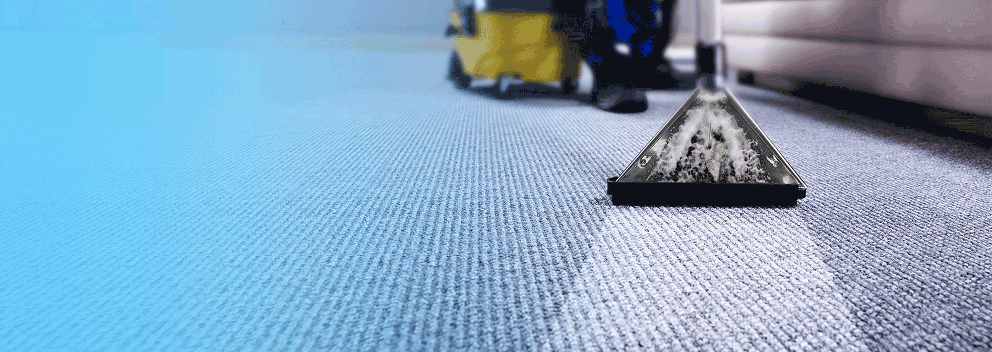 carpet and rug cleaning services