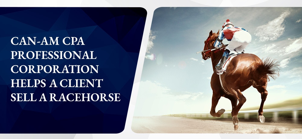 Can-Am CPA Professional Corporation Helps A Client Sell A Racehorse
