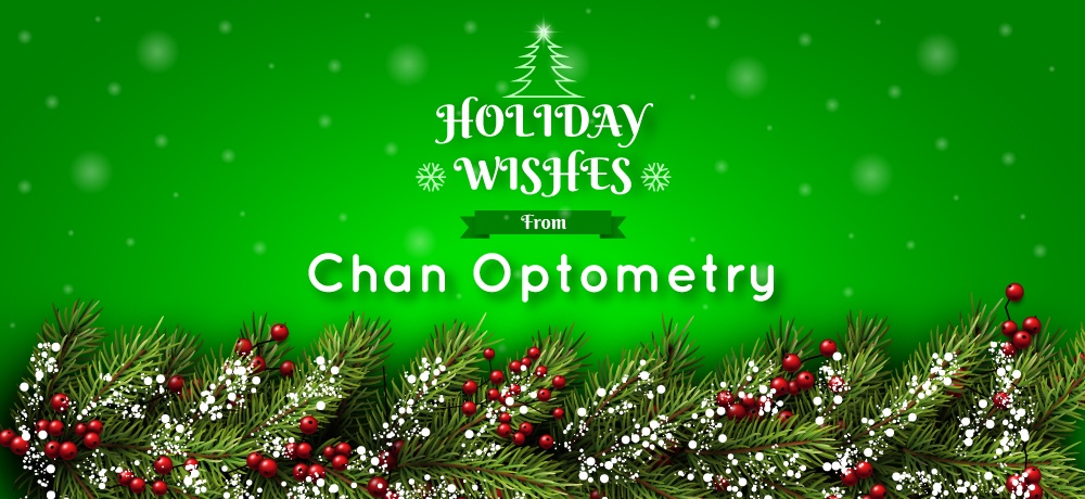 Chan-Optometry---Month-Holiday-2019-Blog---Blog-Banner.jpg