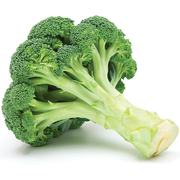 Our 25+ years of expertise guarantee fresh vegetables like broccoli delivered to elevate your culinary creations.