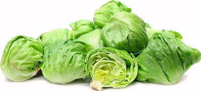Buy Lettuces Online at Fresh Start Foods - Seasonal Vegetables British Columbia