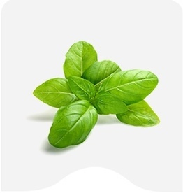 Buy Herbs Online at Fresh Start Foods
