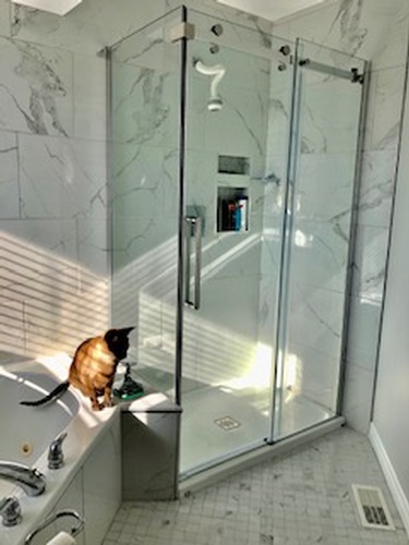 Glass Shower Room - Bathroom Interior Design Services by Walden Interior Decorator - INTERIORS by NICOLE