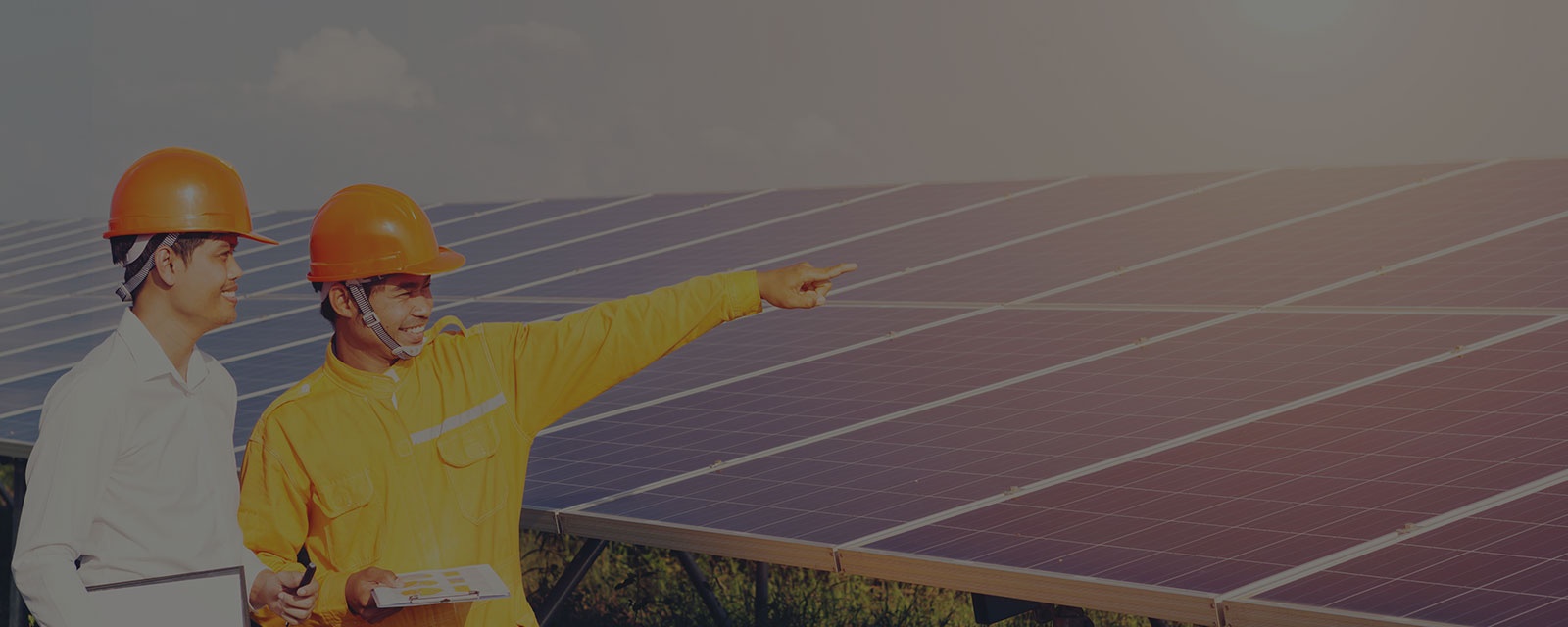 Solar Energy Consultation Services In Windermere
