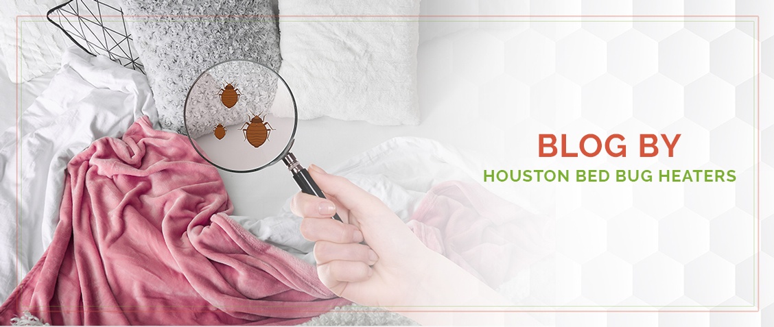 Blog by Houston Bed Bug Heaters - Bed Bug Exterminators in Houston, Texas