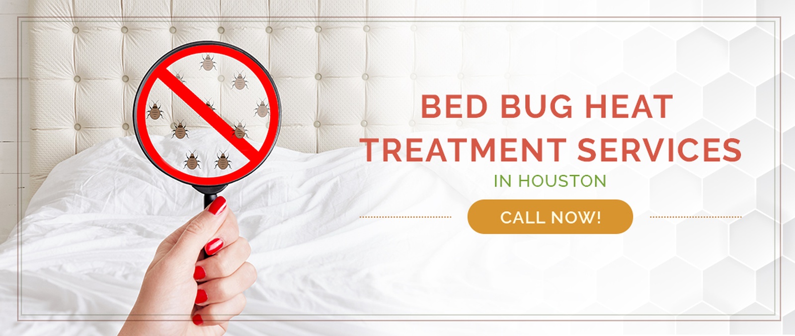 Bed Bug Treatment / Heater Rental Services for Bed Bug Removal - Houston Bed Bug Heaters