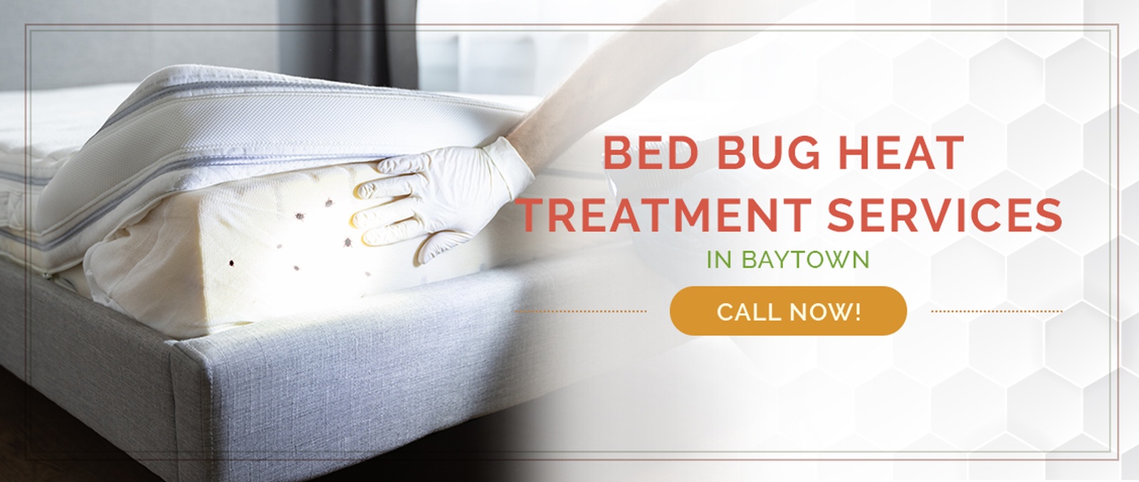 Baytown Bed Bug Treatment / Heater Rental Services by Houston Bed Bug Heaters