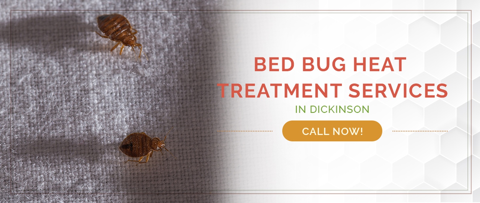 Dickinson Bed Bug Treatment / Heater Rental Services by Houston Bed Bug Heaters