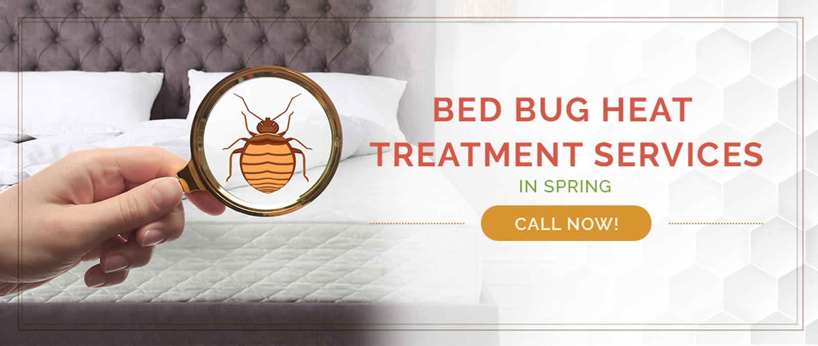 Spring Bed Bug Treatment / Heater Rental Services by Houston Bed Bug Heaters