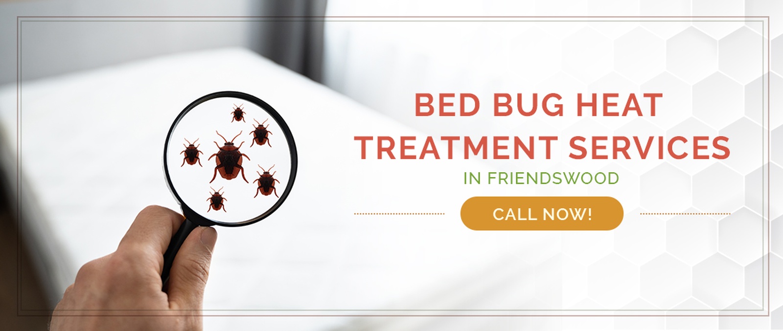Friendswood Bed Bug Treatment / Heater Rental Services by Houston Bed Bug Heaters