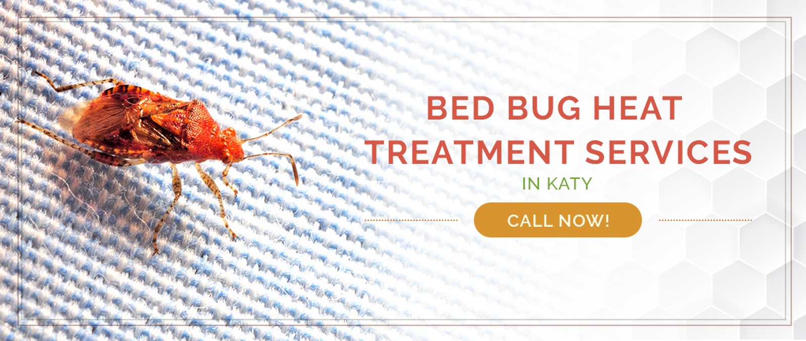 Katy Bed Bug Treatment / Heater Rental Services by Houston Bed Bug Heaters