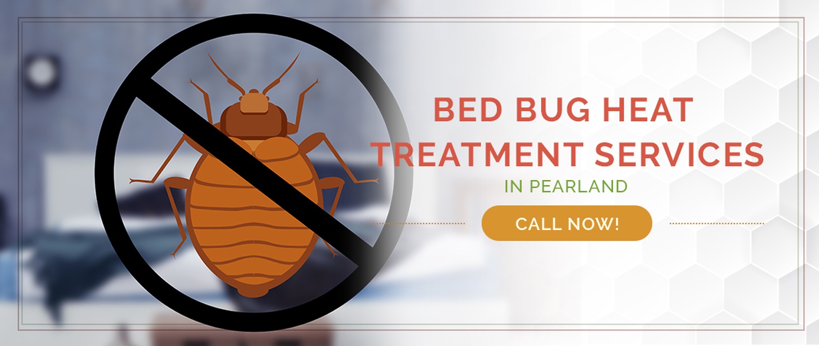 Pearland Bed Bug Treatment / Heater Rental Services by Houston Bed Bug Heaters
