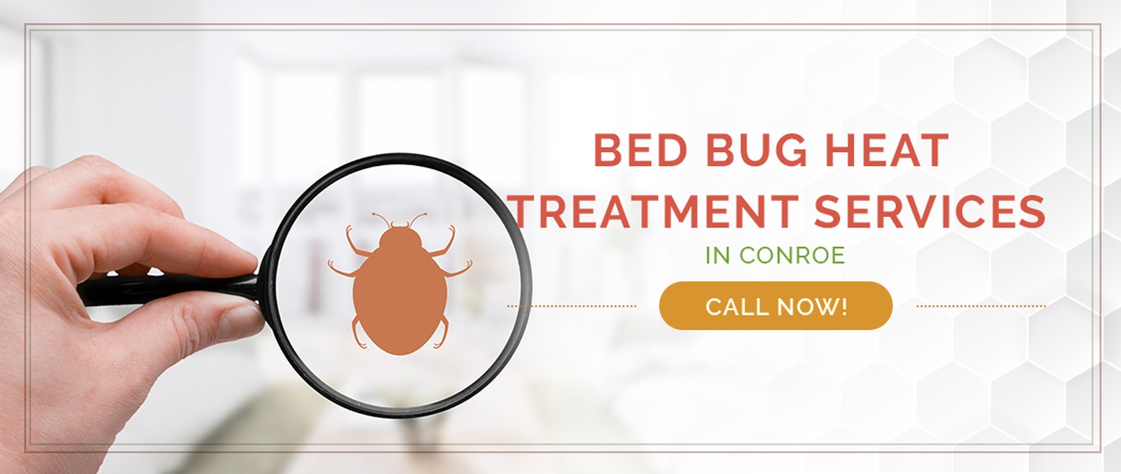 Conroe Bed Bug Treatment / Heater Rental Services by Houston Bed Bug Heaters