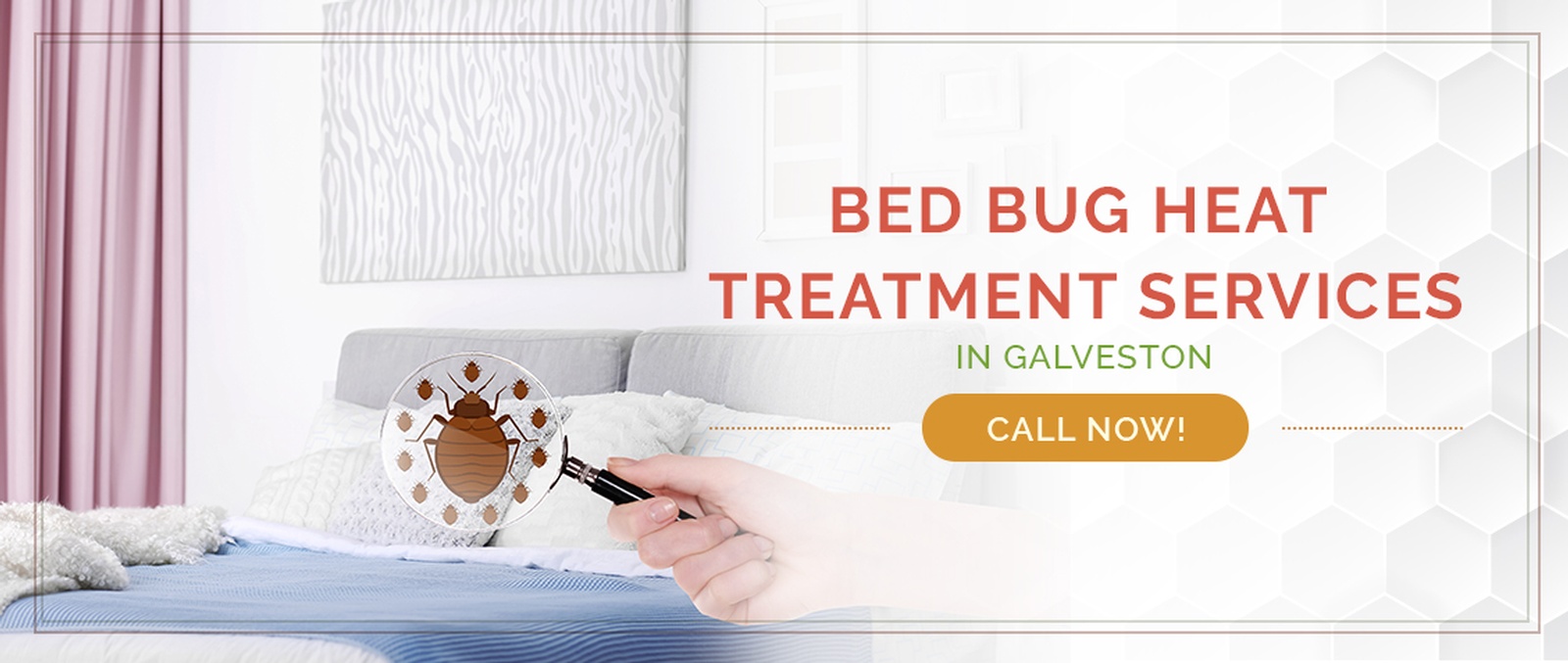 Galveston Bed Bug Treatment / Heater Rental Services by Houston Bed Bug Heaters