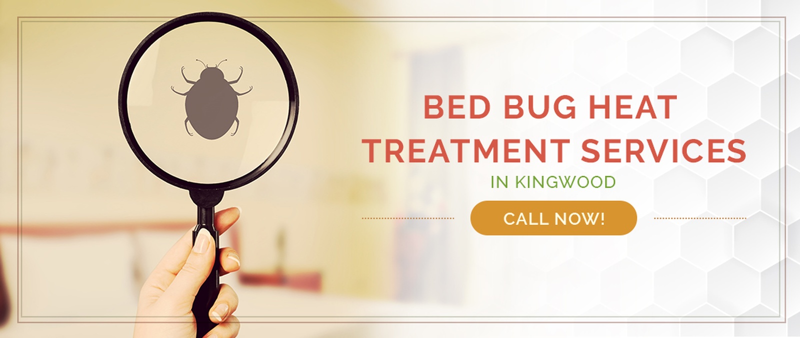 Kingwood Bed Bug Treatment / Heater Rental Services by Houston Bed Bug Heaters