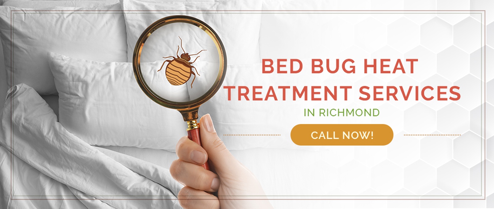 Richmond Bed Bug Treatment / Heater Rental Services by Houston Bed Bug Heaters