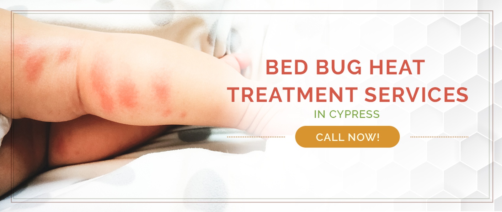 Cypress Bed Bug Treatment / Heater Rental Services by Houston Bed Bug Heaters
