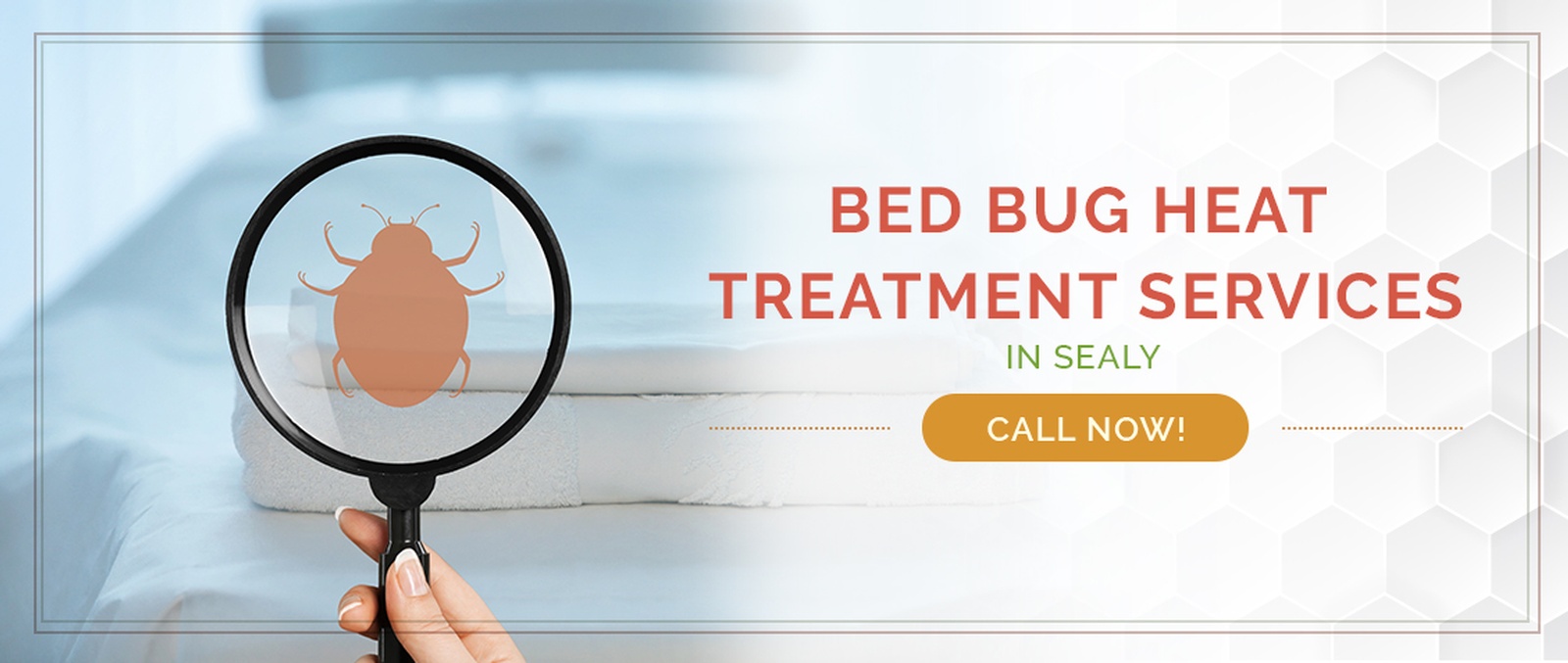 Sealy Bed Bug Treatment / Heater Rental Services by Houston Bed Bug Heaters