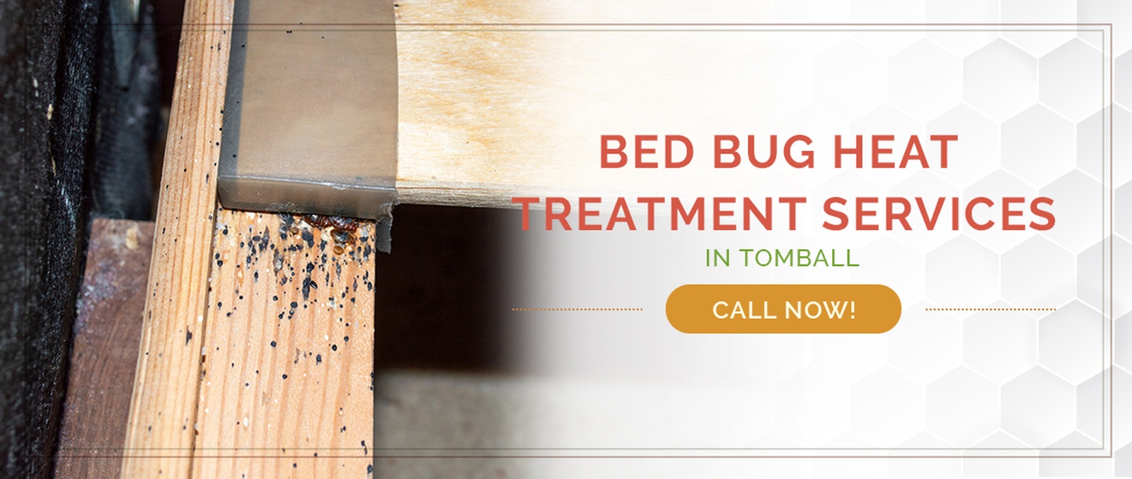 Tomball Bed Bug Treatment / Heater Rental Services by Houston Bed Bug Heaters