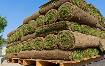 Sod Services
