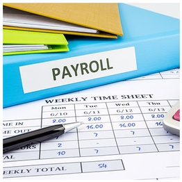 Payroll Services in Stoney Plain