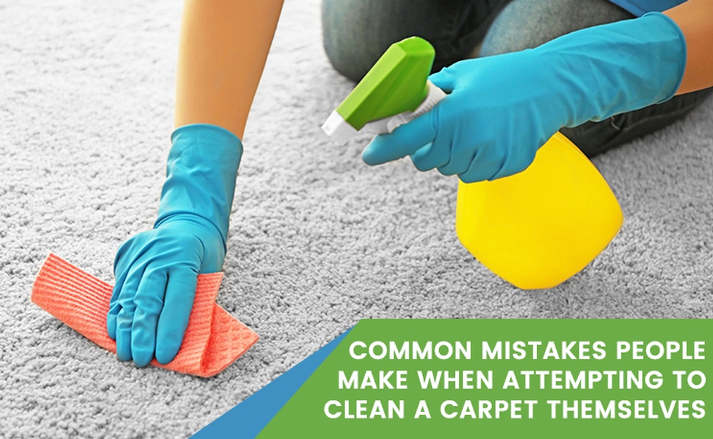 Carpet Cleaning Services Edmonton