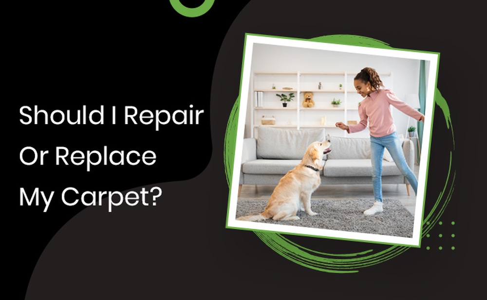 Carpet Repair: Repair or replace? - Carpet Renovations