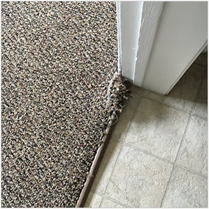 Carpet Repair Edmonton