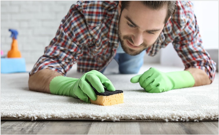Residential Carpet Cleaning Edmonton