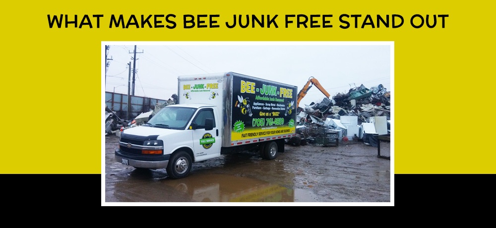 Bee-Junk-Free---Month-2---Blog-Banner.jpg