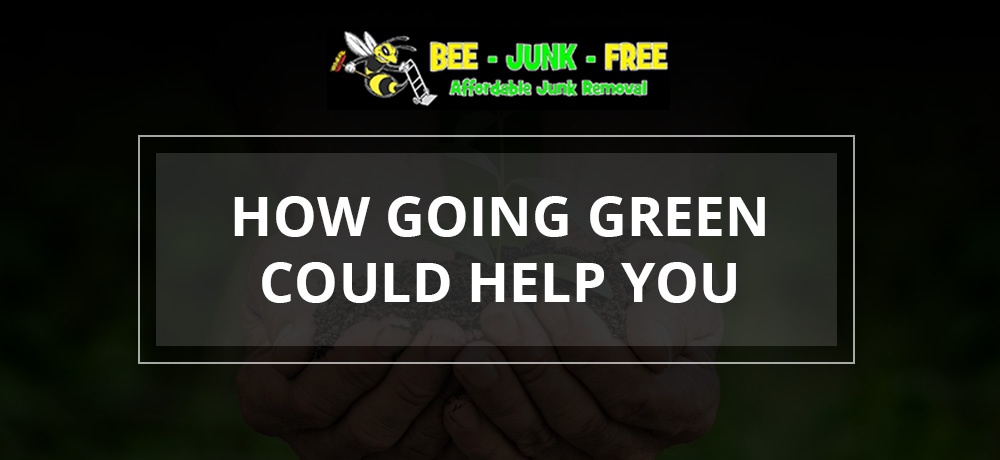 Bee-Junk-Free---Month-8---Blog-Banner.jpg