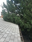 Roof Repairs, Roof Leaks, Flat Roof Leaks Services by Licensed Roofing Contractors at Best Roofing Company in Port Carling