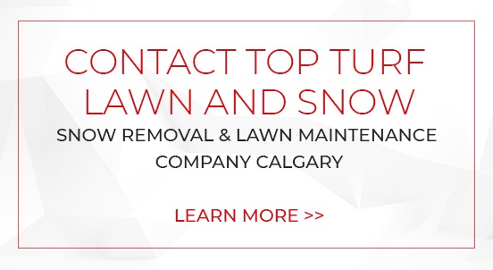 Calgary Lawn Maintenance Company