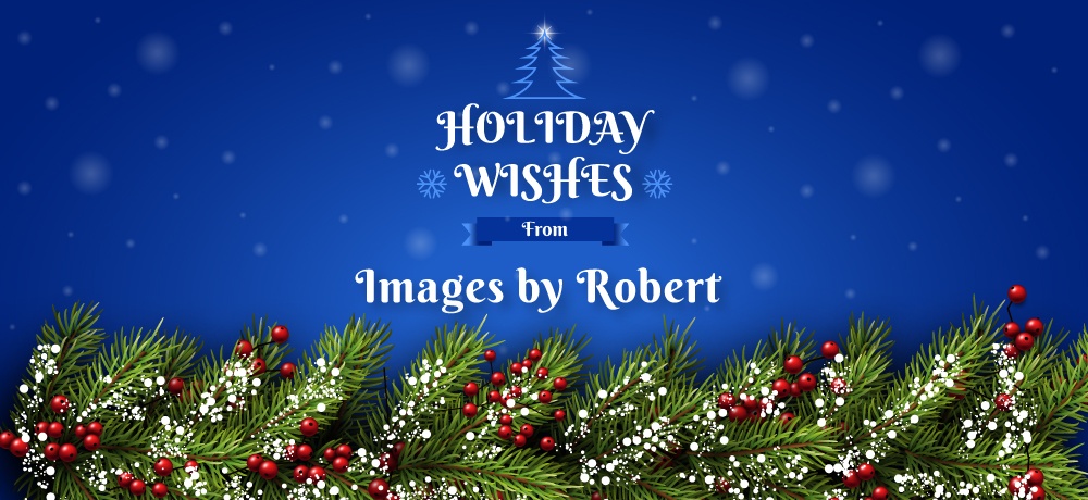 Images-by-Robert----Month-Holiday-2019-Blog---Blog-Banner.jpg