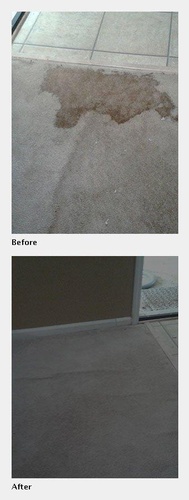 A Carpet Before and After its Cleaned - Carpet Cleaning Atlanta by Preferred Carpet Cleaning and Floor Care