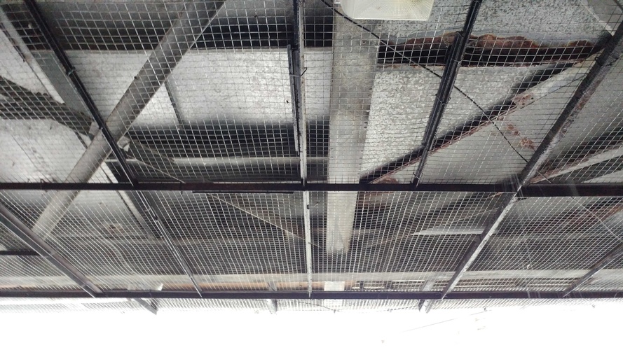 Ceiling Protection Netting - Wildlife Control Services Hamilton by Wildlife Damage Protection Services