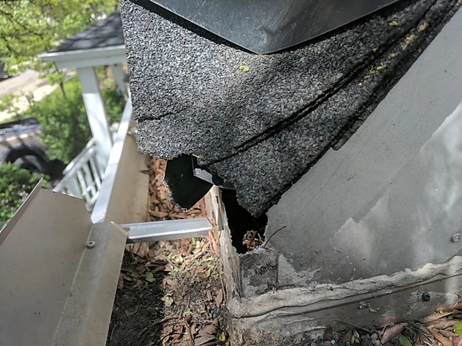 Rooftop Damages - Squirrel Removal Services Markham by Wildlife Damage Protection Services
