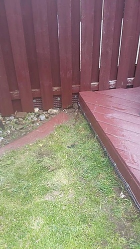 Mesh Protection by Wildlife Damage Protection Services - Possum Removal Services Toronto