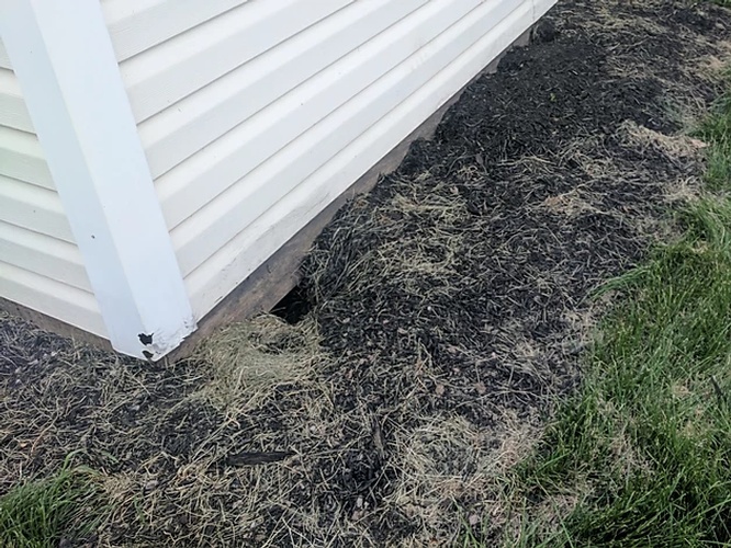 Residential Damage Caused by Possum - Possum Removal Services Brampton by Wildlife Damage Protection Services