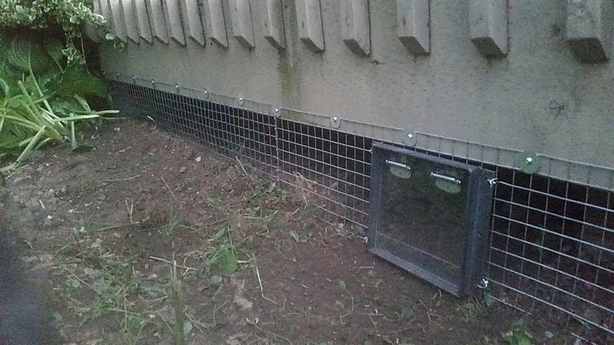 Mesh Installation in Backyard - Possum Removal Services Mississauga by Wildlife Damage Protection Services