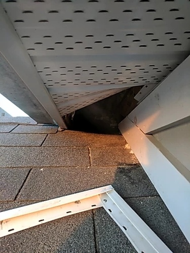 Roof Damage - Raccoon Removal Services Mississauga by Wildlife Removal Services