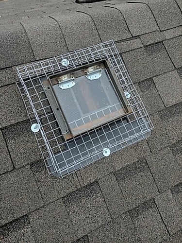 Sealing the Entry Points to Avoid Racoon Damage by Wildlife Removal Services - Raccoon Removal Services Brampton
