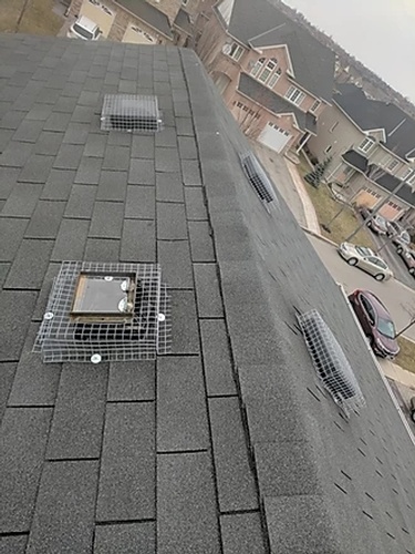 Roof Tile - Raccoon Protection Toronto by Wildlife Removal Services